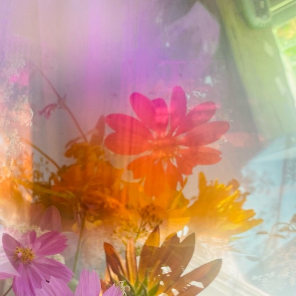 fannyflowers